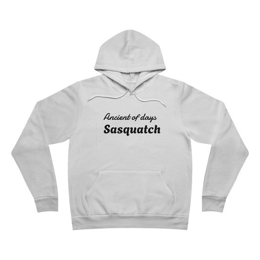 Unisex Sponge Fleece Pullover Hoodie
