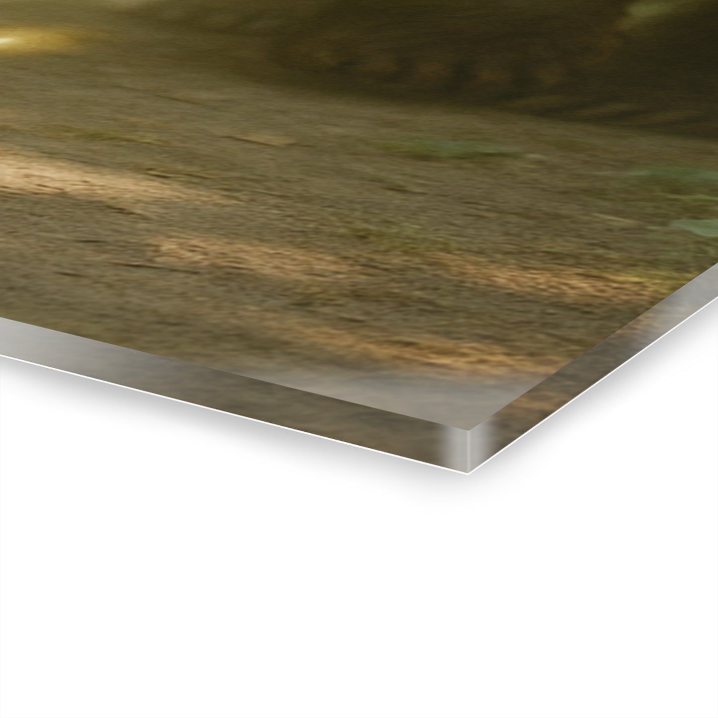 Acrylic Print Wisdom Woman Bear Wolf Sasquatch Elder Ancestor Spirits Orbs